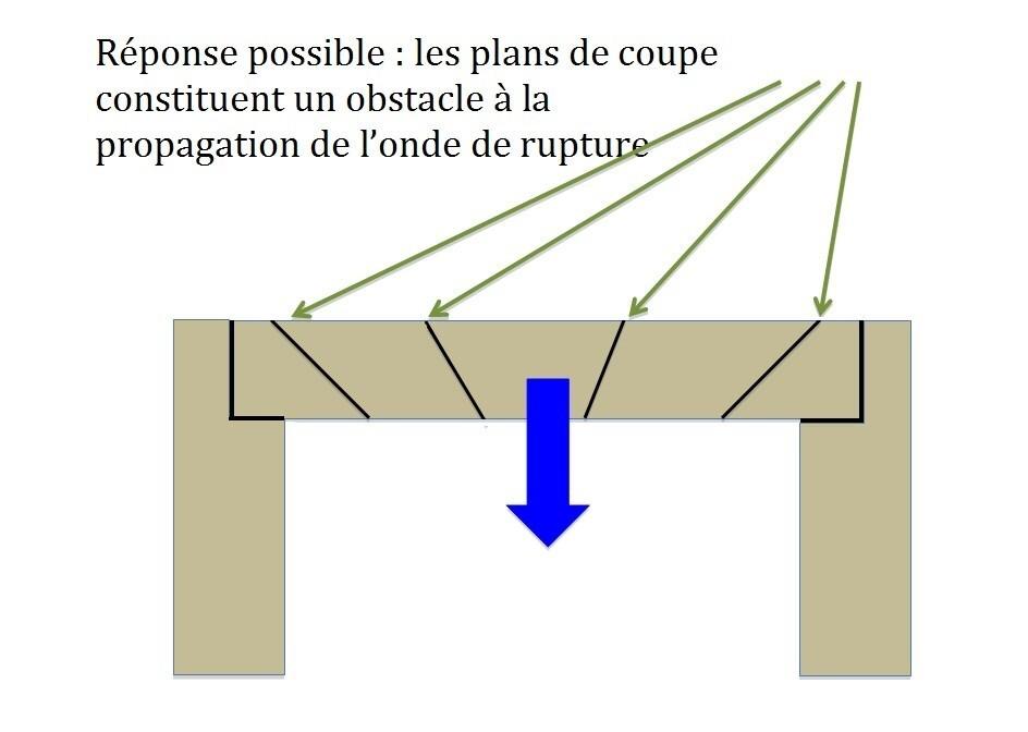 Fichier:Arc en plein cintre amphi Flavio.JPG — Wikipédia